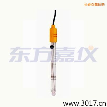 長(zhǎng)春可填充玻璃管電極