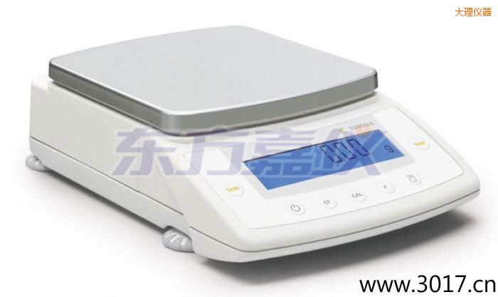 大理CPA系列精密電子天平,5200g,0.01mg