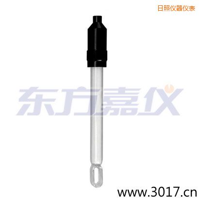 日照無溫補兩線電導率電極