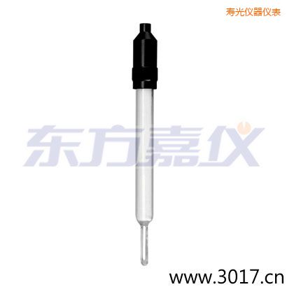 壽光玻璃外殼無溫補兩線電導率電極