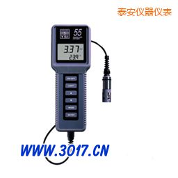 泰安溶解氧、溫度測量儀